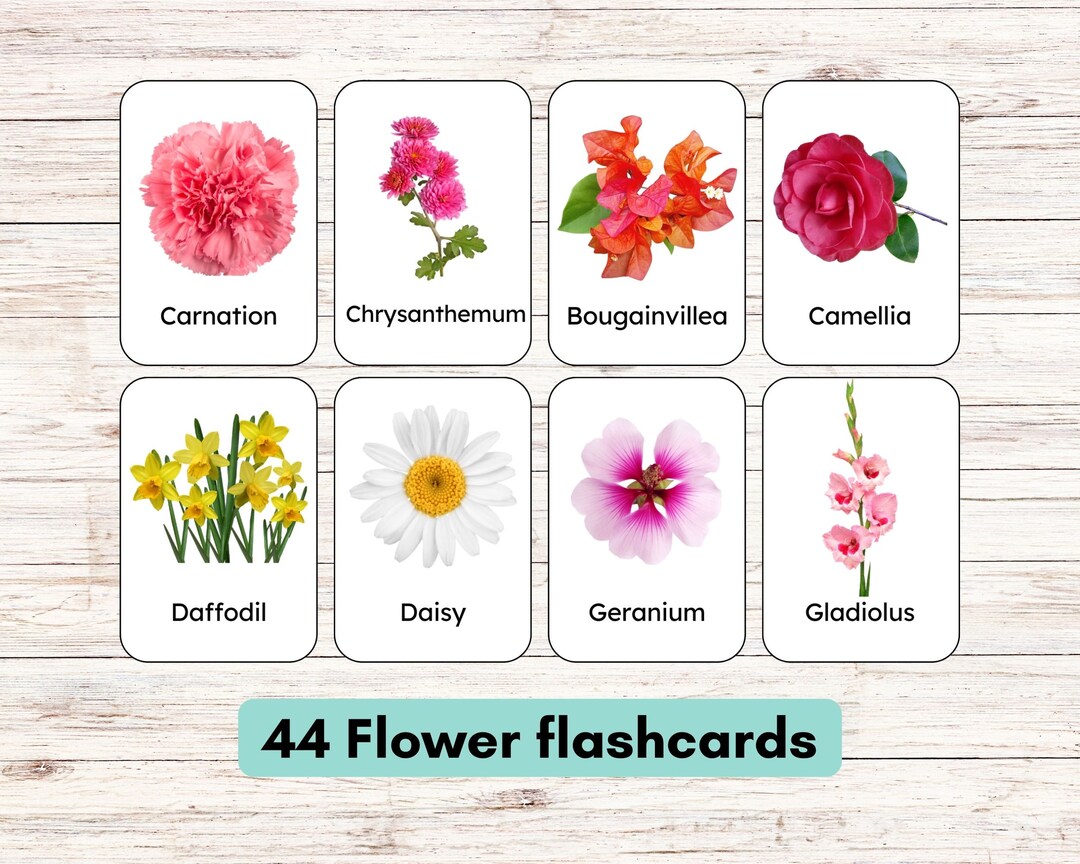 44 Flower Flashcards With Real Picture, 3-part Montessori Flashcards