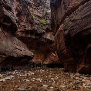 The Narrows | Zion National Park | Digital Image Print | Zion Canyon | Utah| Download | Landscape Photography | Wall Art Picture | Vertical