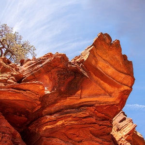 Red Rock | Sedona | Arizona | Digital Print | Landscape & Nature Photography | Wall Art | Digital Art | Desert | Hiking