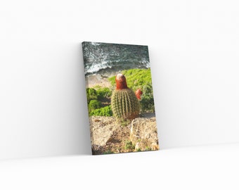 Cactus wall print, of the Antiguan landscape. Shop now and place on your wall.