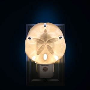 Sand Dollar 3D Night Light (Plug-in, LED)