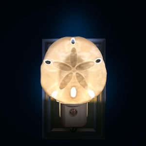 Puede incluir: Una luz de noche con forma de dólar de arena, con una superficie texturizada de color crema. El dólar de arena tiene cinco diseños en forma de pétalos y varios agujeros. La luz de noche está enchufada a una toma de corriente y emite un brillo suave.