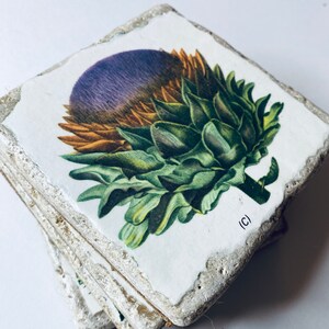 Vintage Botanical Print Stone Coasters: Handmade Drinkware Set