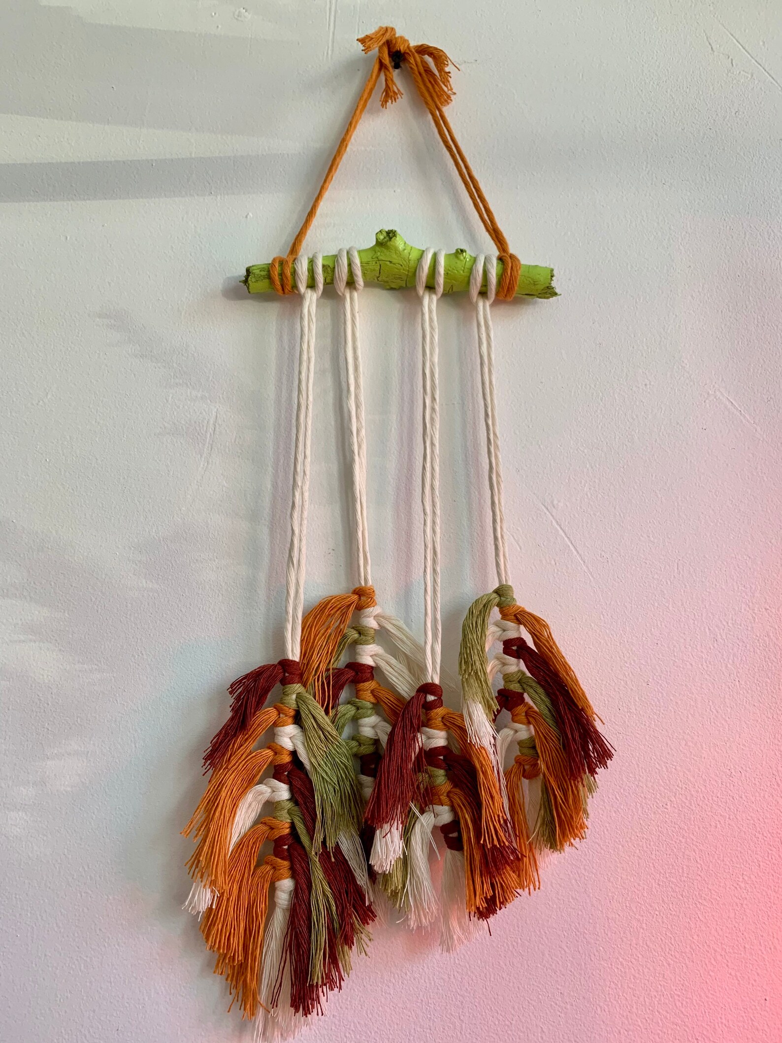 Multicolor Macrame Feather Wall Hanging Etsy