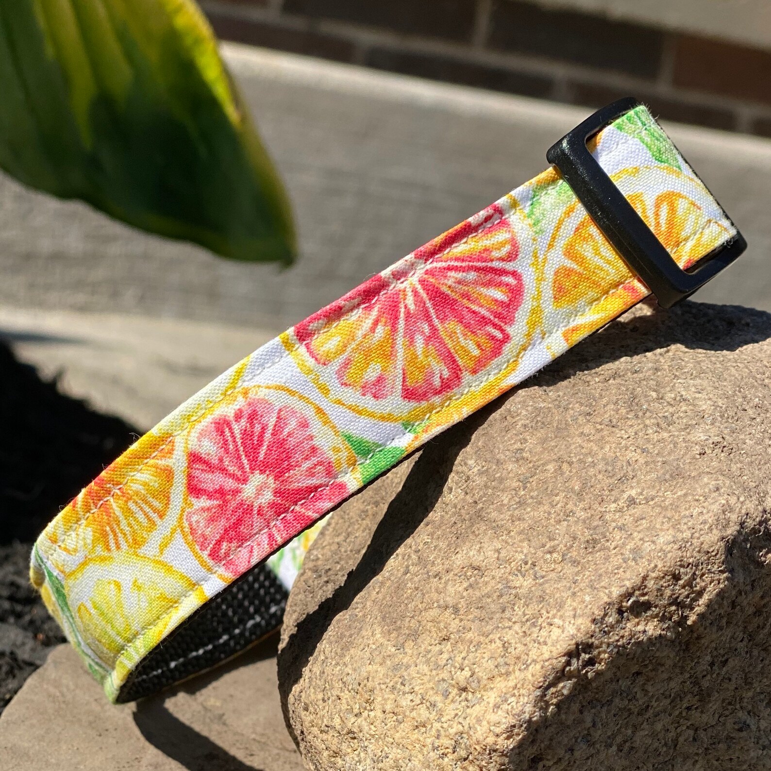 Lemon Citrus Dog Collar Etsy