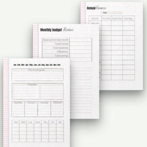 May include: Three open planner pages with financial tracking layouts. The pages include sections for monthly and annual budgets, with spaces for income, expenses, and savings. The pages have a pink striped border.