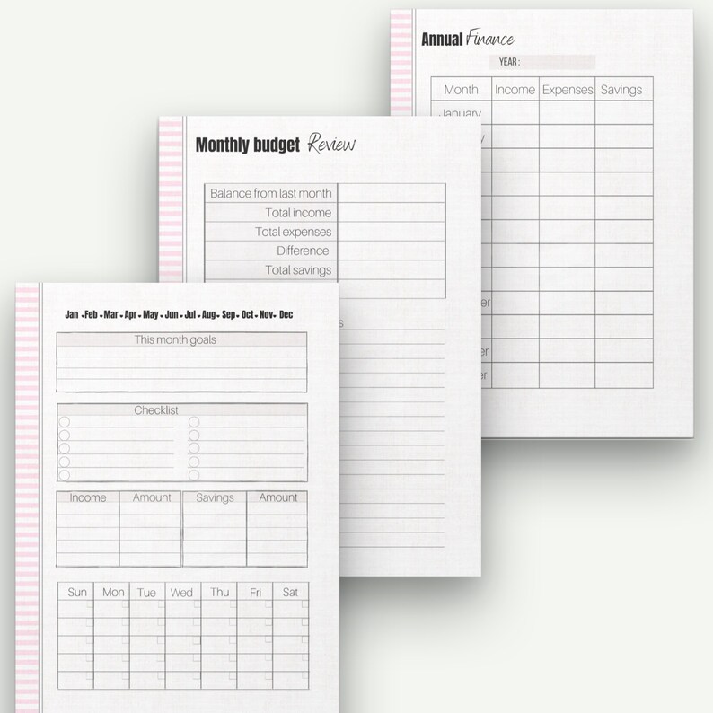May include: Three open planner pages with financial tracking layouts. The pages include sections for monthly and annual budgets, with spaces for income, expenses, and savings. The pages have a pink striped border.