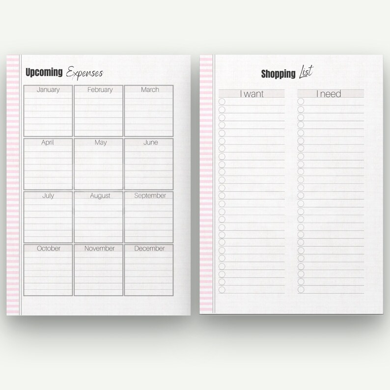 May include: A planner with two facing pages. The left page is titled "Upcoming Expenses" and has a grid for each month. The right page is titled "Shopping List" with sections for "I want" and "I need". Pink striped borders.
