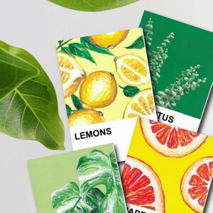 Cartes postales Pantone Warm Series - Motifs botaniques, de plantes d'intérieur, de fruits, de fleurs et de feuillage (4 x 6 po.)