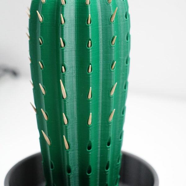 Pianta di cactus stuzzicadenti - Pianta di cactus innovativa - porta stuzzicadenti cactus - porta stuzzicadenti