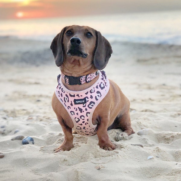 Dog Harness - Adjustable - Pink Dog Harness - Pink Leopard Print - Leopard Print Dog Harness - Cute Dog Harness - Dog Accessories UK