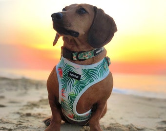 Dog Harness - Adjustable - Tropical Dog Harness - Dog Accessories - Adjustable Harness for Dogs - Floral Dog Accessories - Green Dog Harness