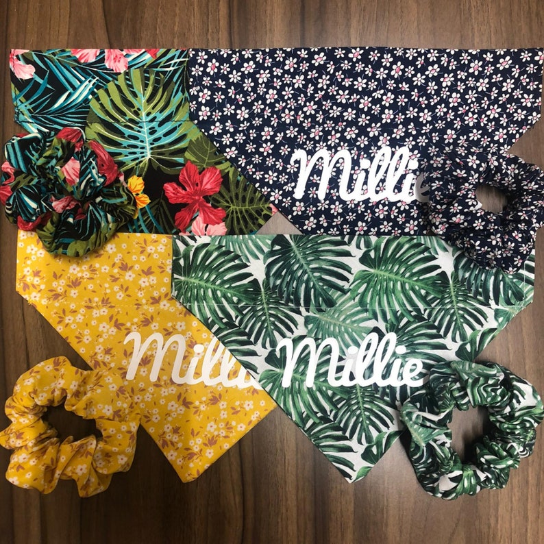 matching dog bandana and scrunchie