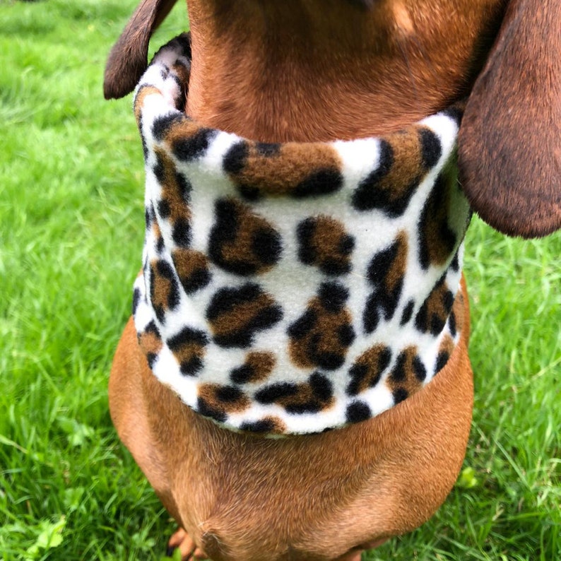 Hund Snood Hund Infinity Schal Hund Schal Fleece Etsy