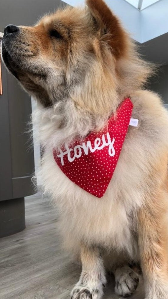 Etsy clearance dog bandana