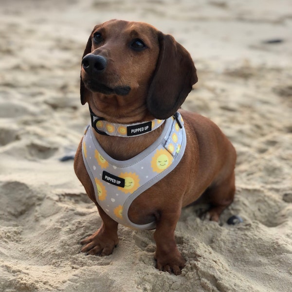 Dog Harness - Adjustable - Grey Dog Harness - Dog Accessories - Adjustable Harness for Dogs - Cute Dog Harness - Sun Print Dog Harness