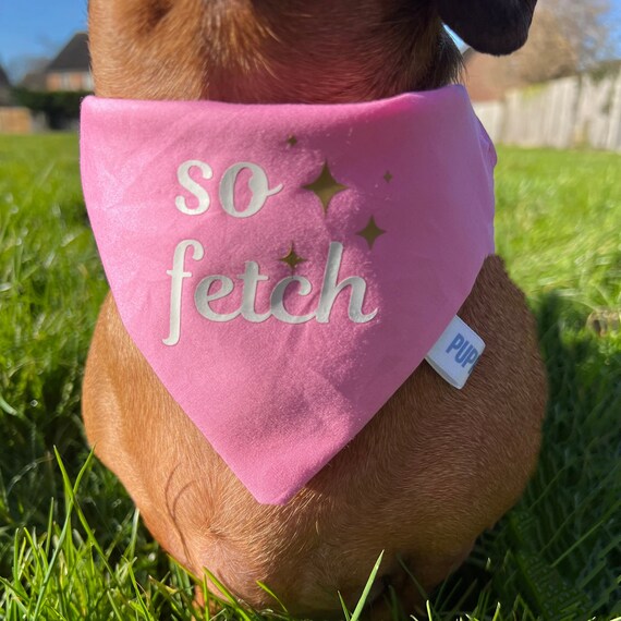 So fetch cheap dog collars