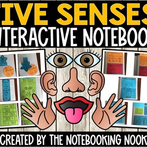 Exploring Our Five Senses with Bonus FREE Posters