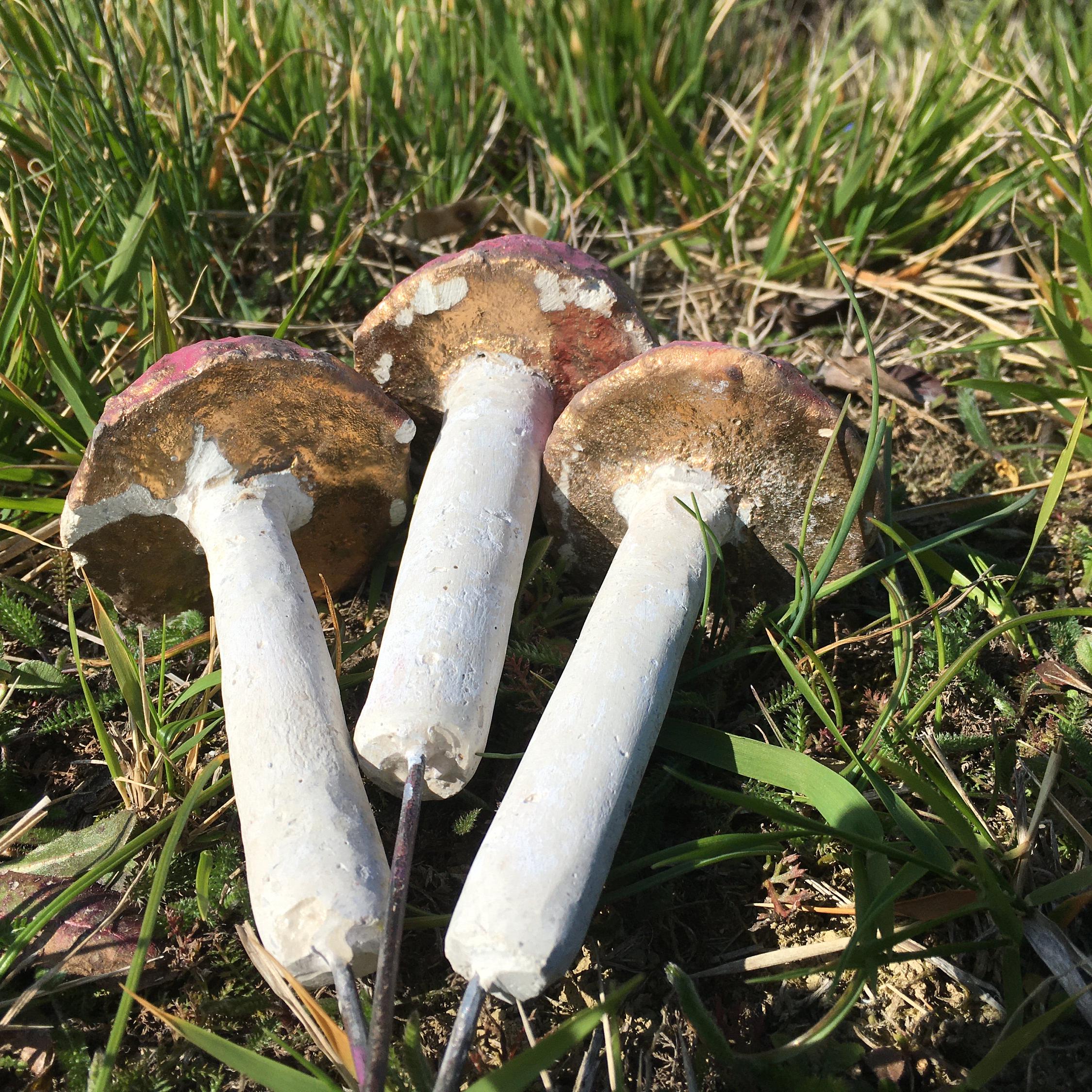 Hongos de hormigón hechos a mano / Decoración de jardín vintage - Etsy  México, image size:2250x2250