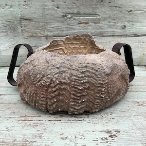 May include: A rustic, brown planter with a textured surface and two black metal handles. The planter is made of a rough, natural material and has a unique, organic shape.