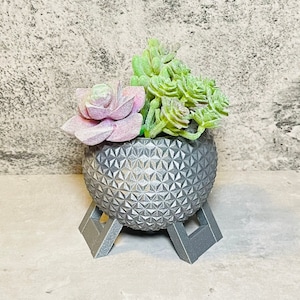 Epcot Succulent Holder