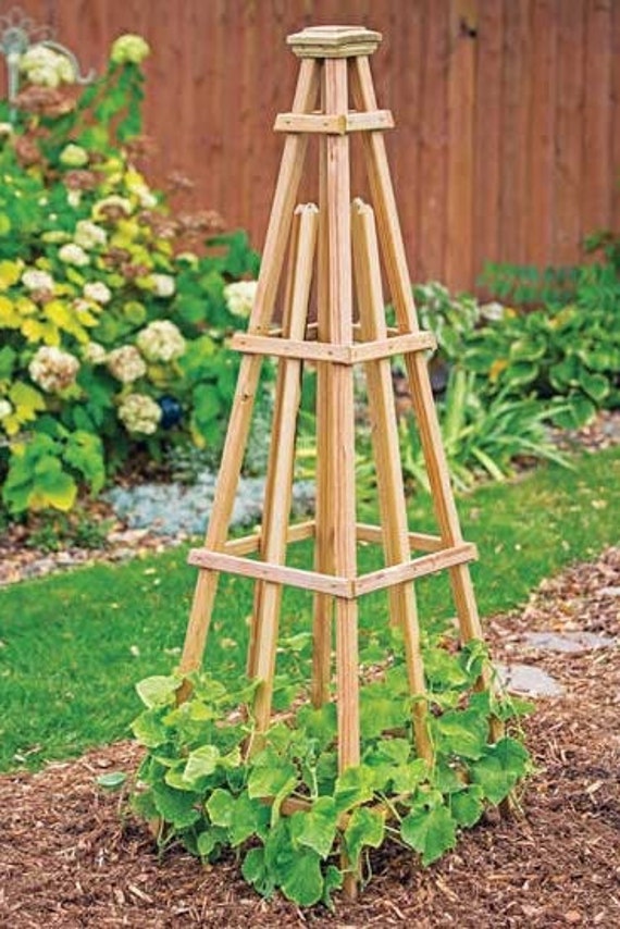 Obelisk Garden Plans DIY PDF Etsy