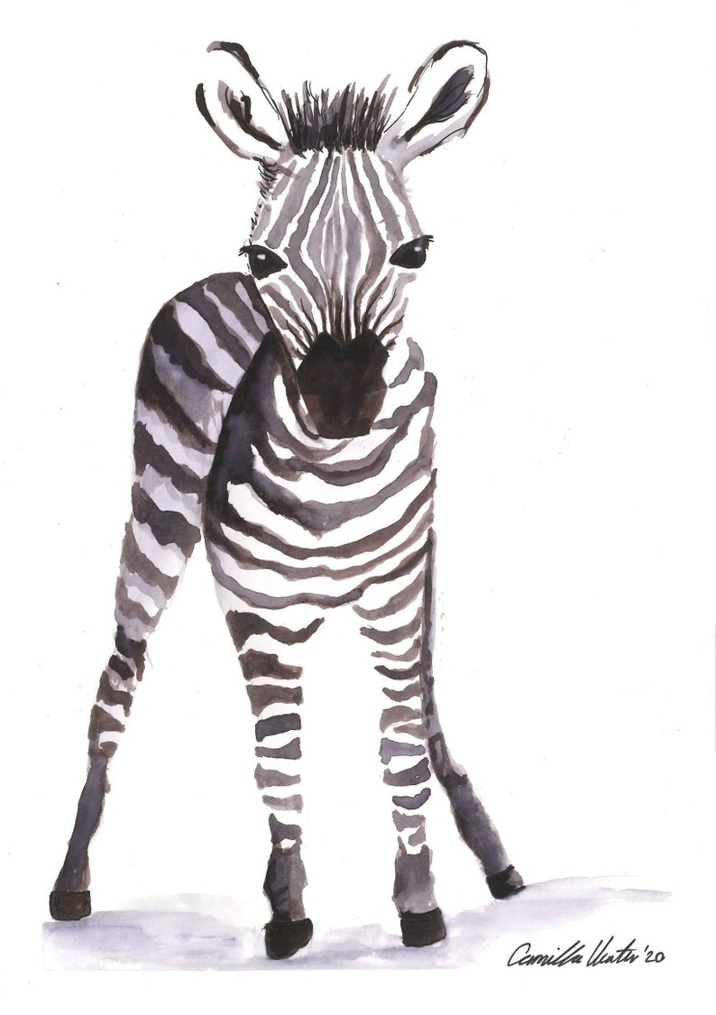 Printable Watercolor Nursery Wall Art Baby Room Art Zebra Etsy