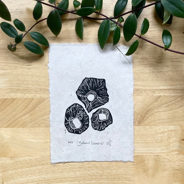 Barnacle Mini Print | original block print | tidepool linocut | 5x7 print