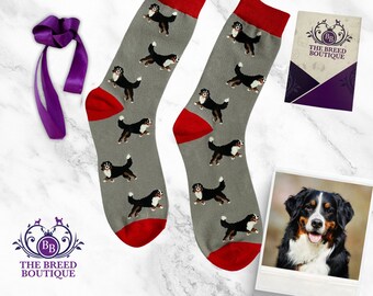 Bernese Mountain Dog Print Unisex Socks Plain Design Unisex One Size UK 5 - 11, EU 38 - 46, US 7.5 - 12