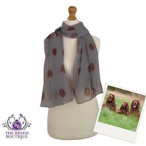 Irish Setter Chiffon Cover Up Irish Setter Chiffon Cover Up