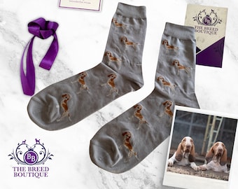 Chaussettes italiennes Bracco pour chien amusantes unisexes, taille unique UK 5-11, EU 38-46 et US 7.5-12