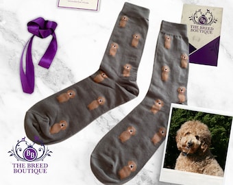 Goldendoodle Dog Print Socks Unisex One Size Fit UK 5 - 11, EU 38 - 46 and US 7.5 - 12 Comfort With Canine Charm