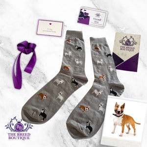 Bull Terrier Socks Unisex One Size Fit UK 5 - 11, EU 38 - 46, and US 7.5 - 12 Walk with Bull Terrier Swagger