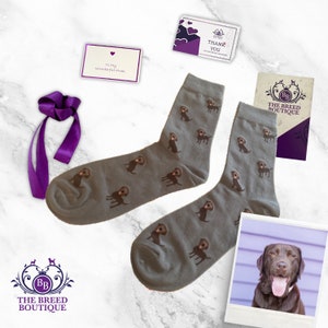 Chocolate Labrador Socks Unisex One Size Fit UK 5 - 11, EU 38 - 46, US 7.5 - 12 Brown Labrador Gift