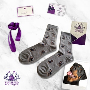 Rottweiler Socks Fun Pair of Unisex Socks One Size Fit UK 5 - 11, EU 38 - 46, and US sizes 7.5 - 12.