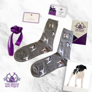 Smooth Fox Terrier Socks Unisex One Size Fit UK 5 - 11,EU 38 - 46, and US 7.5 - 12  Fun Socks for Dog Lovers