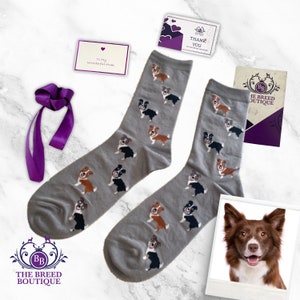 Border Collie Dog Print Socks Unisex One Size Fit UK 5 - 11 EU 38 - 46, and US 7.5 - 12, Black and White Red and White Tricolour