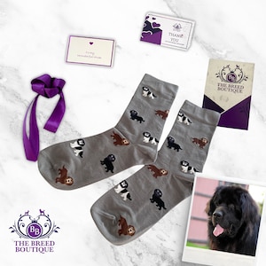 Newfoundland Dog Print Unisex Socks One Size To Fit UK 5 - 11, EU 38 - 46, and US 7.5 - 12