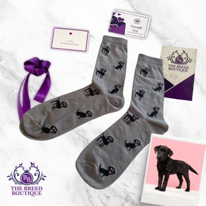 Black Labrador Socks Fun Black Lab Socks Unisex One Size Fit UK 5 - 11, EU 38 - 46, US 7.5 - 12