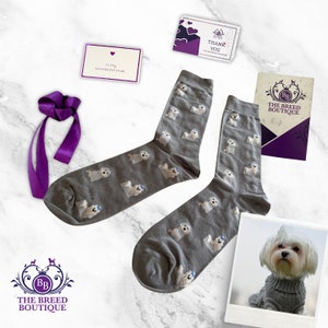 Maltese Dog Print Socks Unisex One Size Fit UK shoe sizes 5 - 11, EU sizes 38 - 46, and US sizes 7.5 - 12
