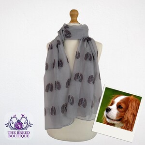 Cavalier King Charles Spaniel Chiffon Cover Up - Tri Cavalier King Charles Spaniel Chiffon Cover Up - Tri