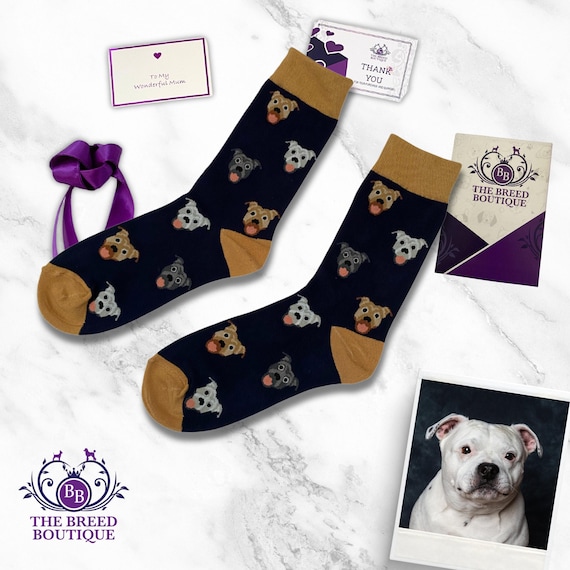 Uno Staffordshire Bull Terrier Immagini E Fotografie Stock Ad Alta - Foto 3