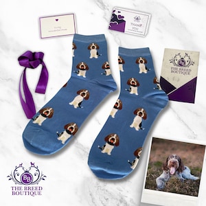 Calcetines con estampado de perro italiano Spinone: calcetines azules unisex (2 pares)