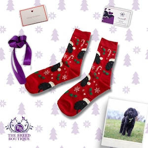 Peut inclure: Paire de chaussettes de Noël rouges avec un chien noir portant un bonnet de Père Noël, des cannes en sucre, des flocons de neige et des baies de houx. Les chaussettes sont présentées avec une carte de vœux, un ruban violet et une photo d'un chien noir.