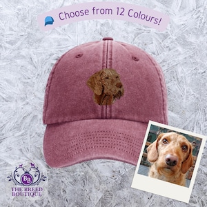Casquette de baseball brodée Vizsla à poil dur 100 % coton délavé unisexe pour adulte, 12 couleurs au choix, livrée dans une boîte cadeau Vizsla Gift