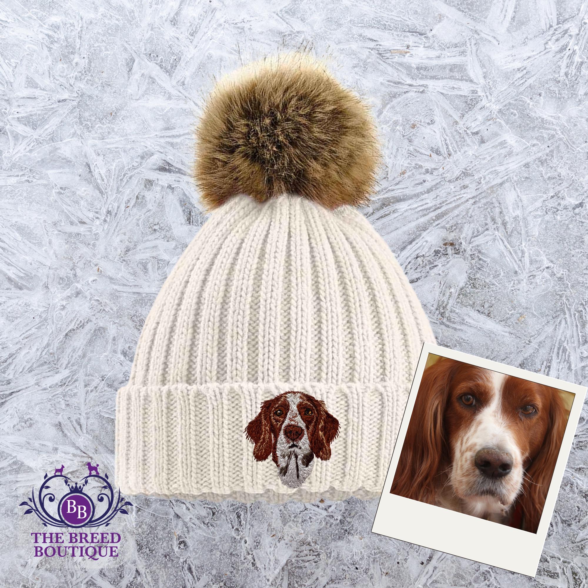 ♥夏の大特価Sale‼️イギリスドックカート ④❤️アンティーク