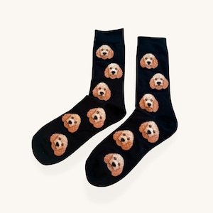 Calcetines Goldendoodle, regalo para amantes de los perros, calcetines de algodón negro, tallas UK 5-11