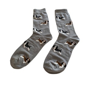 Springer Spaniels Socks Fun Unisex One Size Fit UK 5 11, EU 38 46 and US 7.5 12 image 1