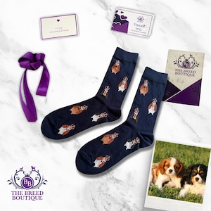 Cavalier King Charles Spaniel Socken Unisex Einheitsgröße UK Größe 5 - 11, EU 38 - 46, US 7.5 - 12 Lustige Kavalier tragen Kronen Hund Geschenk