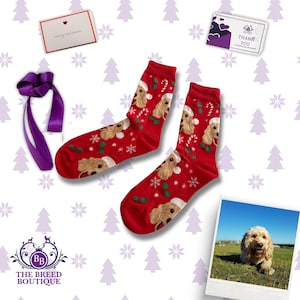 May include: Red Christmas socks featuring a repeating pattern of a dog in a Santa hat, candy canes, and snowflakes. The socks are presented with a purple ribbon, a greeting card, and a thank you card.